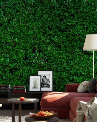 The Green Wall Vertical Garden Wallpaper