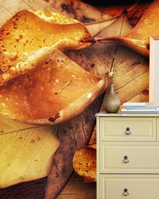 Autumn Mood