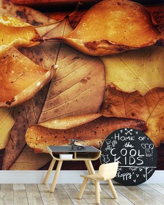 Autumn Mood