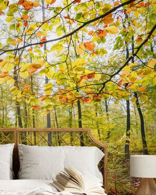 Autumn Sun