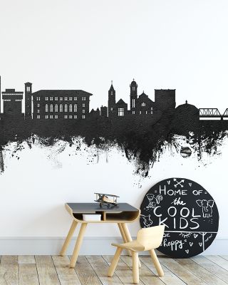 Cedar Falls Iowa Skyline in Black & White
