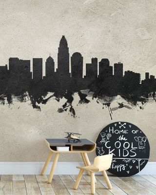 Charlotte North Carolina Skyline in Concrete
