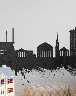 Charlottesville Virginia Skyline in Black & White