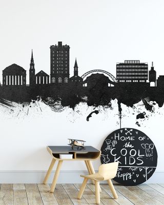 Charlottesville Virginia Skyline in Black & White