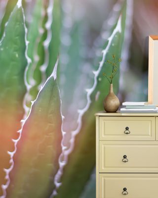 Dream Desert III Scenic Wall Art