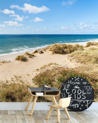 Dune Landscape Tranquil Wall Art
