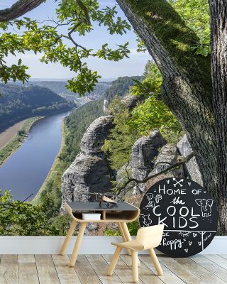 Elbe River Scenic Wall Art