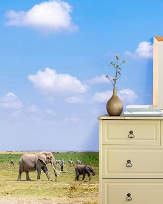 Elephant Walk Nature Art Print