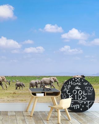 Elephant Walk Nature Art Print