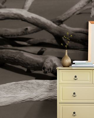Georgia Driftwood