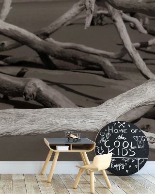 Georgia Driftwood