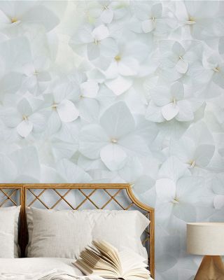 Hydrangea Whites