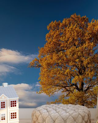 Last Tree Standing