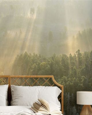 Morning Fog