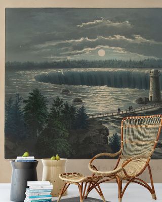 Niagara Falls 1860
