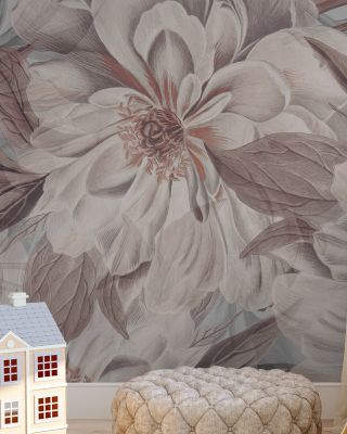 Peony Study - Pink Oyster