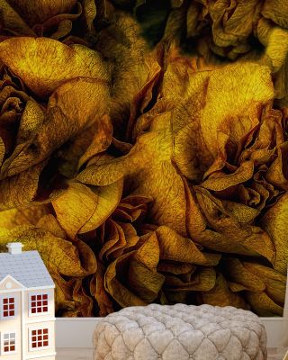 Ruffles and Frills
