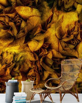 Ruffles and Frills