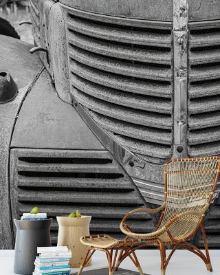Rusted Glory I