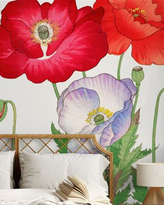 Tanigami Poppy