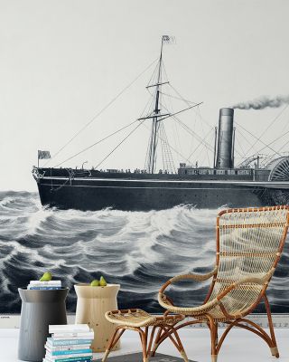 The Pacific Steam Ship