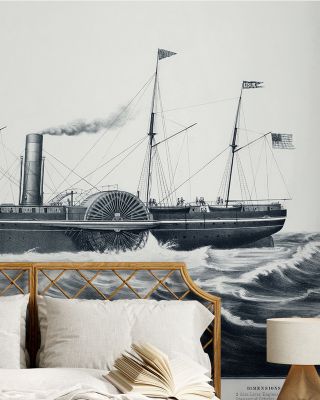 The Pacific Steam Ship