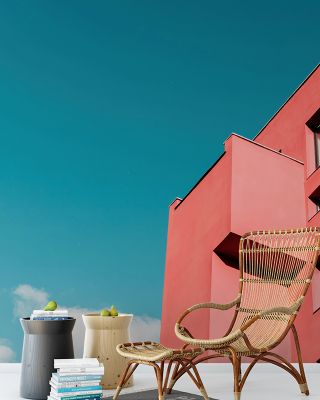 The Pink House