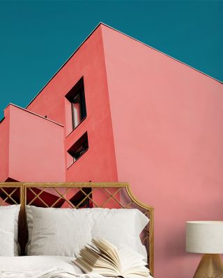 The Pink House