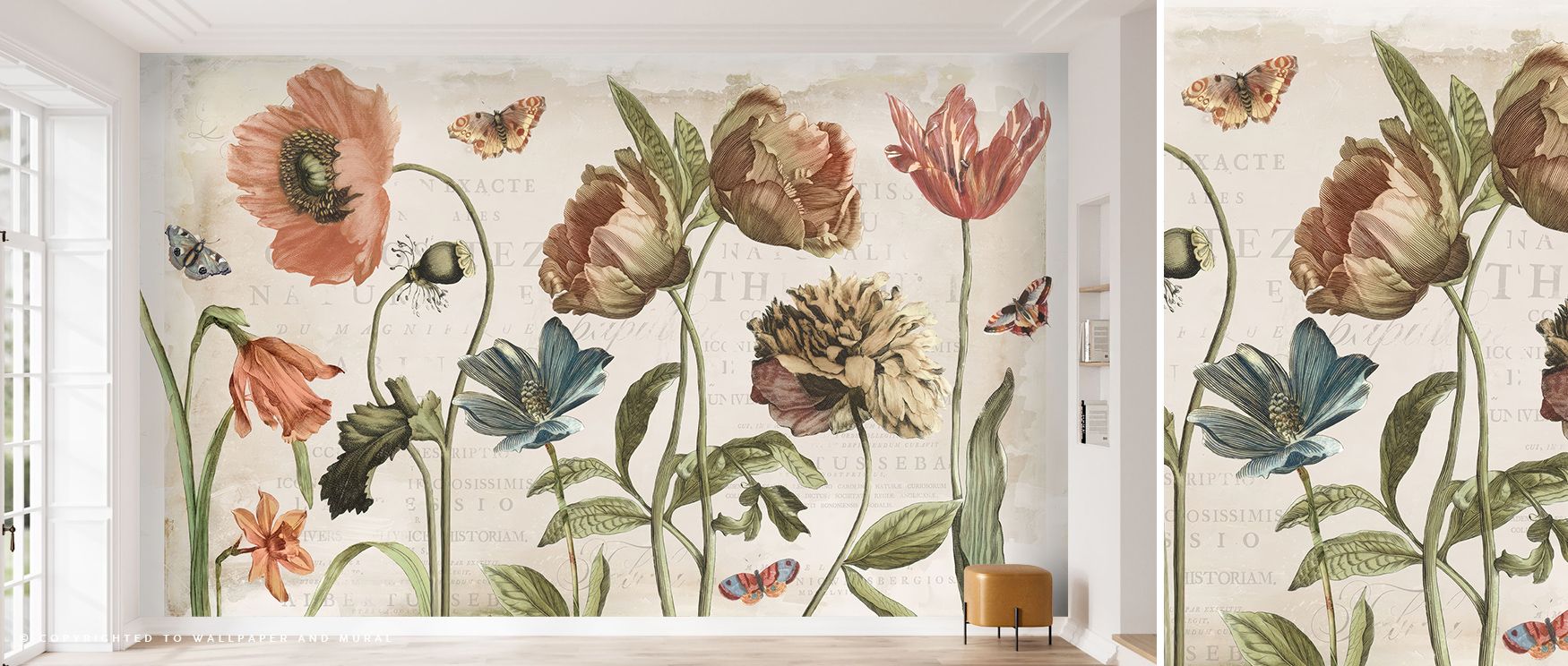 Enduring charm defines Antiquarian Study Wallpaper, balancing symmetry and artistry through vintage inspiration. Faint shadows lend realism, while linework suggests imagination and study—perfect for interiors seeking cultured stillness and old-world peace