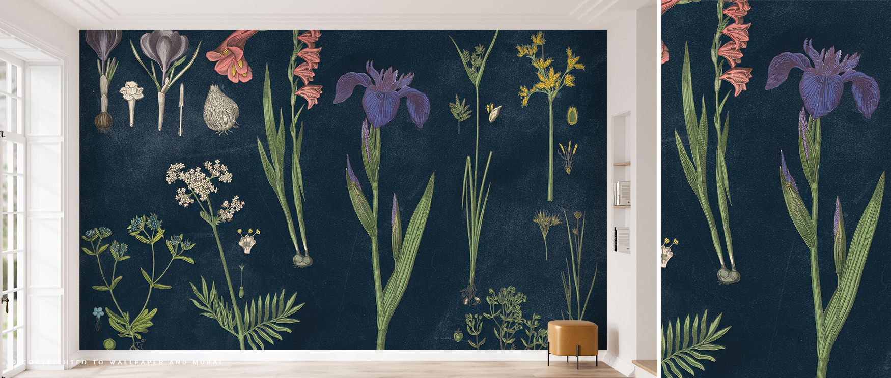 Artistic refinement shines through the Botanical Floral Chart II Dark Blue Wallpaper, merging vintage botany with modern sensibility. Its flowing structure creates a feeling of balance and quiet luxury, perfect for enhancing intimate rooms or tranquil sit