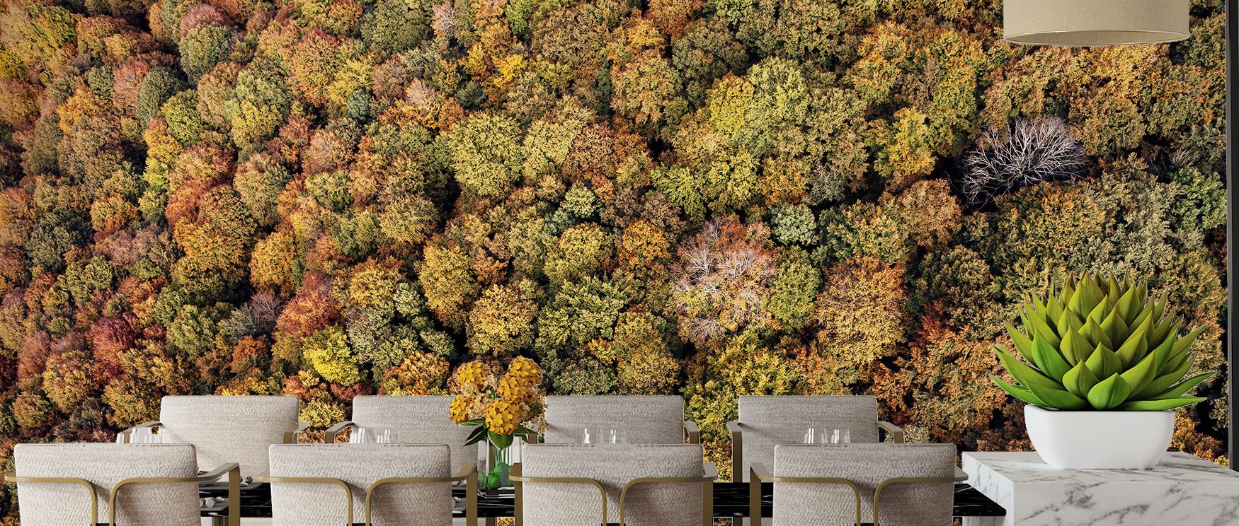 Scenic aerial canopy wallpaper mural featuring lush treetops, enhancing offices or living rooms with natural charm, offering immersive views that create serene balanced interiors filled with calm beauty and peaceful inspiration. 