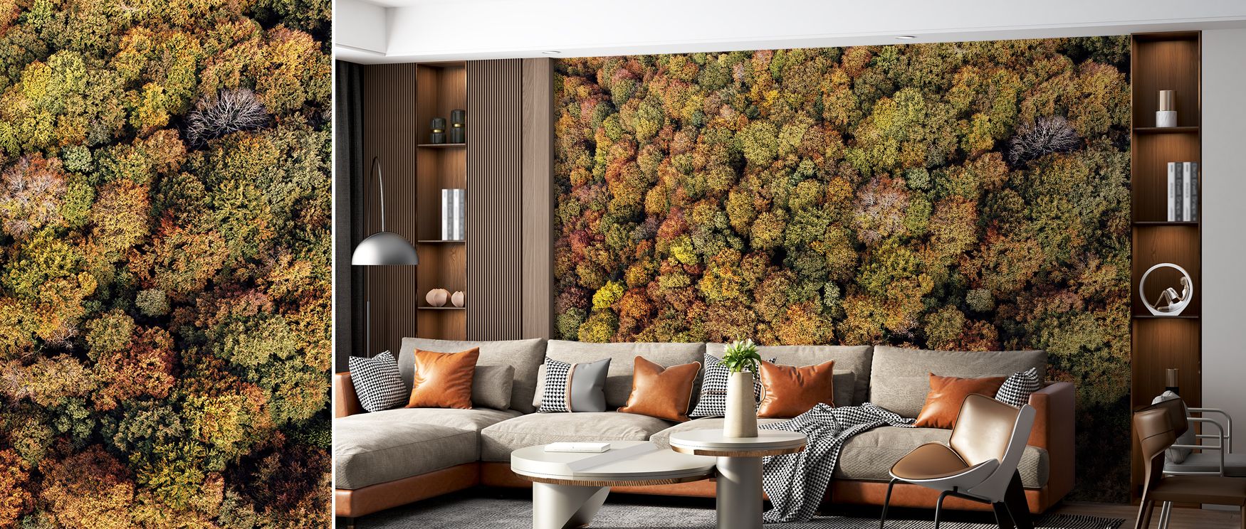 Natural aerial forest wallpaper mural showcasing detailed greenery, ideal for bedrooms or lounges, transforming interiors with calm energy and immersive nature-inspired features that uplift walls with serene design and beauty. 