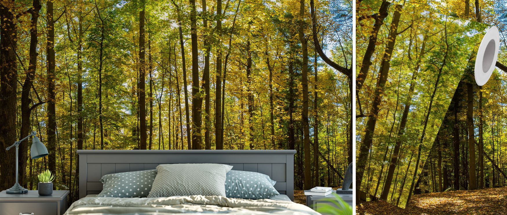 Nature wallpaper capturing forest scenes with greenery and light. Its calming aesthetic enriches interiors with serenity, making it perfect for studies, bedrooms, or living spaces seeking natural inspiration. 