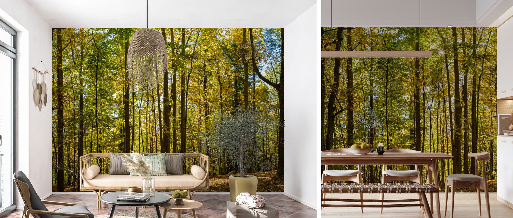 Tranquil forest wallpaper featuring natural trees and serene tones. Its peaceful presence enriches interiors with calm elegance, perfect for studies, offices, or living spaces where harmony is desired. 