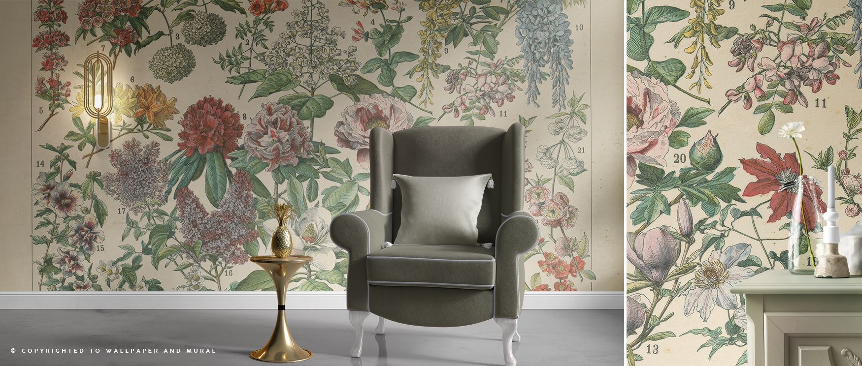 Botanical French Flower Chart Wallpaper decorates living room walls with engaging artistry where floral illustrations transform interiors with charm balance and natural elegance that enhances atmosphere effectively.