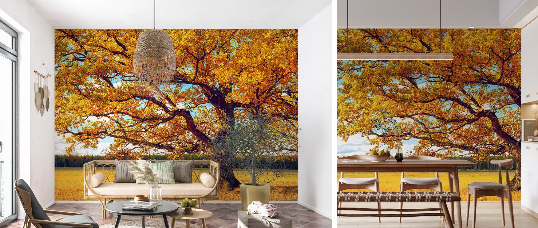 Wallpaper of Mount Rushmore Scenic design enhances offices with cultural artistry where monument imagery inspires professional patriotic environment blending stylish refinement productivity and heritage inspiration beautifully.