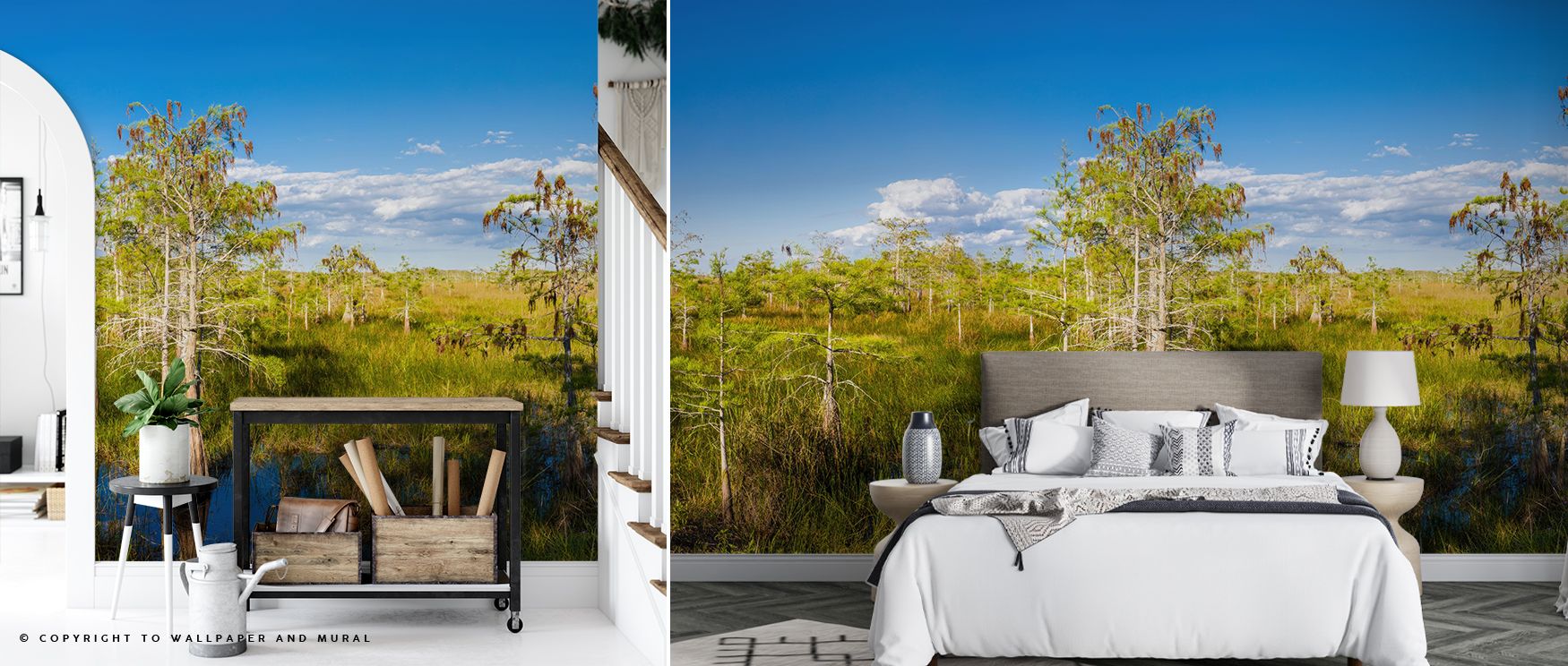 Dwarf Cypress Trees Wallpaper enriches interiors with calm rhythm, presenting imagery of trees in luminous artistry. Bedrooms, offices, or family rooms glow with serenity and inspiration, creating retreats enriched with cultural pride, charm, and reflecti