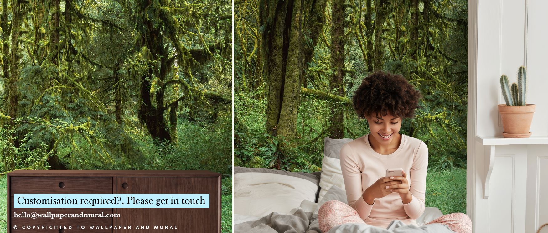 Hoh Rain Forest, Washington State Wallpaper radiates grandeur with layered greens arranged into depth. Each tone reflects rhythm and harmony. Its artistry conveys vitality. The imagery resonates with richness. Interiors gain serene inspiration. A living r