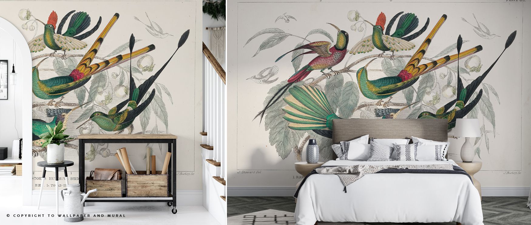 Light dances across the Hummingbird Study Wallpaper, where motifs appear as fleeting visions. Each bird feels alive in motion, a reminder of untamed freedom. Gentle textures soften the background. A small mention of its fit in an office confirms adaptabil