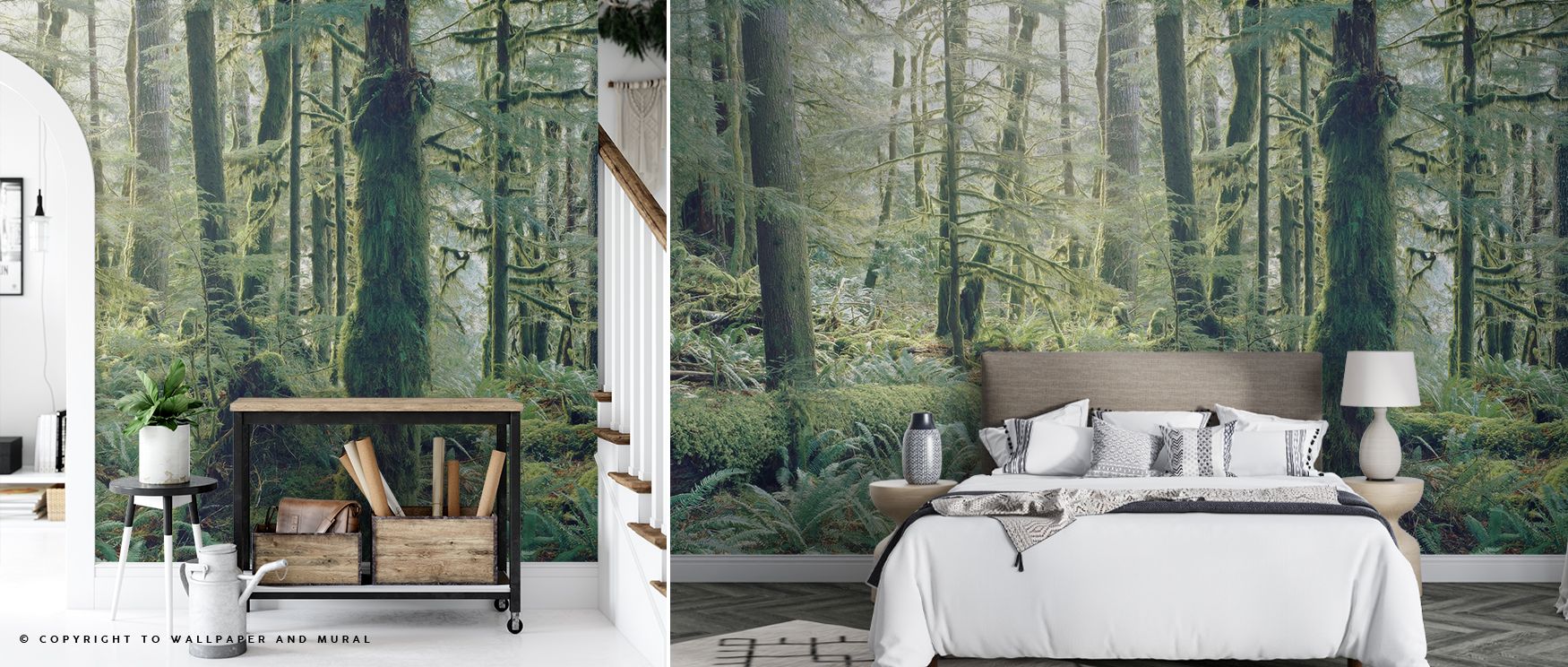 A verdant impression defines Moss Everywhere Wallpaper, presenting tonal harmony that provides interior walls with freshness and balance, ensuring décor feels alive with botanical presence and natural artistry that conveys beauty and refinement. 