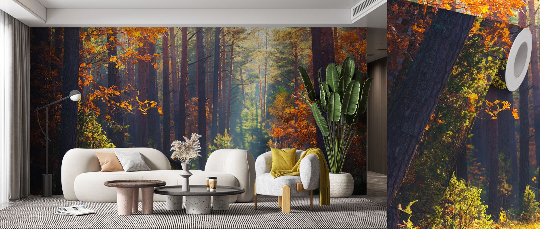 Crisp morning tones illuminate Autumn Forest Morning Wallpaper, where autumn trees glow vibrantly. Each shade enriches detail, offering timeless beauty. Interiors transform into seasonal retreats, making living rooms or bedrooms elegant sanctuaries of pea