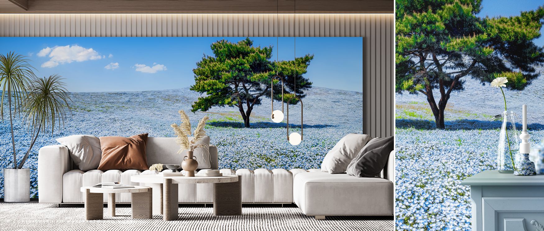 Elegant presence flows through Baby Blue Eyes Nemophila Wallpaper, where flowers balance artistry with calm charm. The design enriches interiors, turning walls into serene canvases. Bedrooms or bathrooms glow with freshness, filled with natural refinement