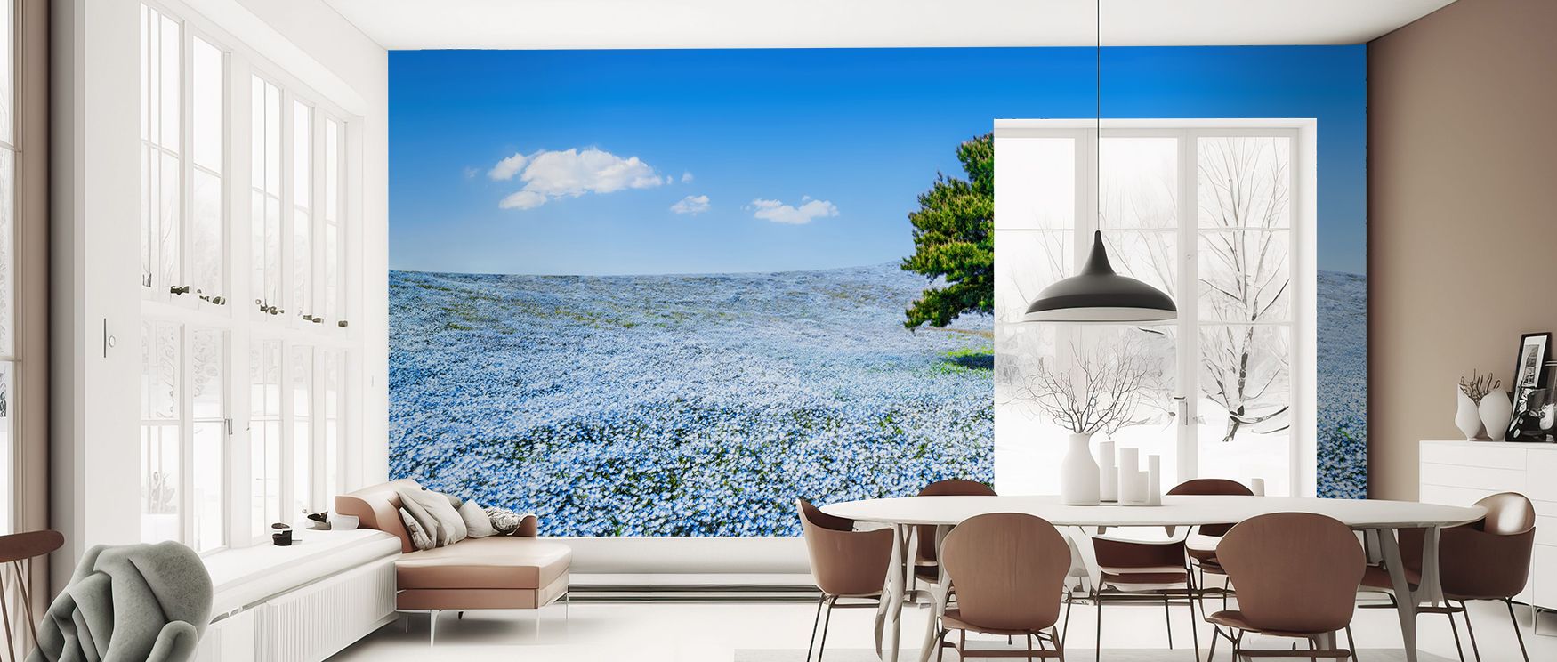 Tranquil elegance defines Baby Blue Eyes Nemophila Wallpaper, where blossoms enrich spaces with softness. Each petal conveys calmness, uplifting walls with charm. Interiors transform into floral sanctuaries, suitable for living rooms or bedrooms seeking s