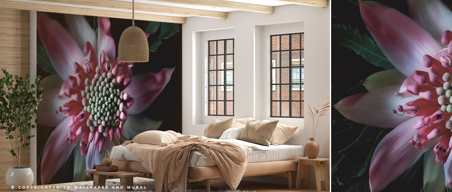 Salmon Waratah II Wallpaper enriches interiors with blossoms rendered in soft salmon tones, creating atmosphere of calm elegance. Its impression communicates refinement, offering balance across varied décors. Bedrooms, offices, and living rooms gain inspi