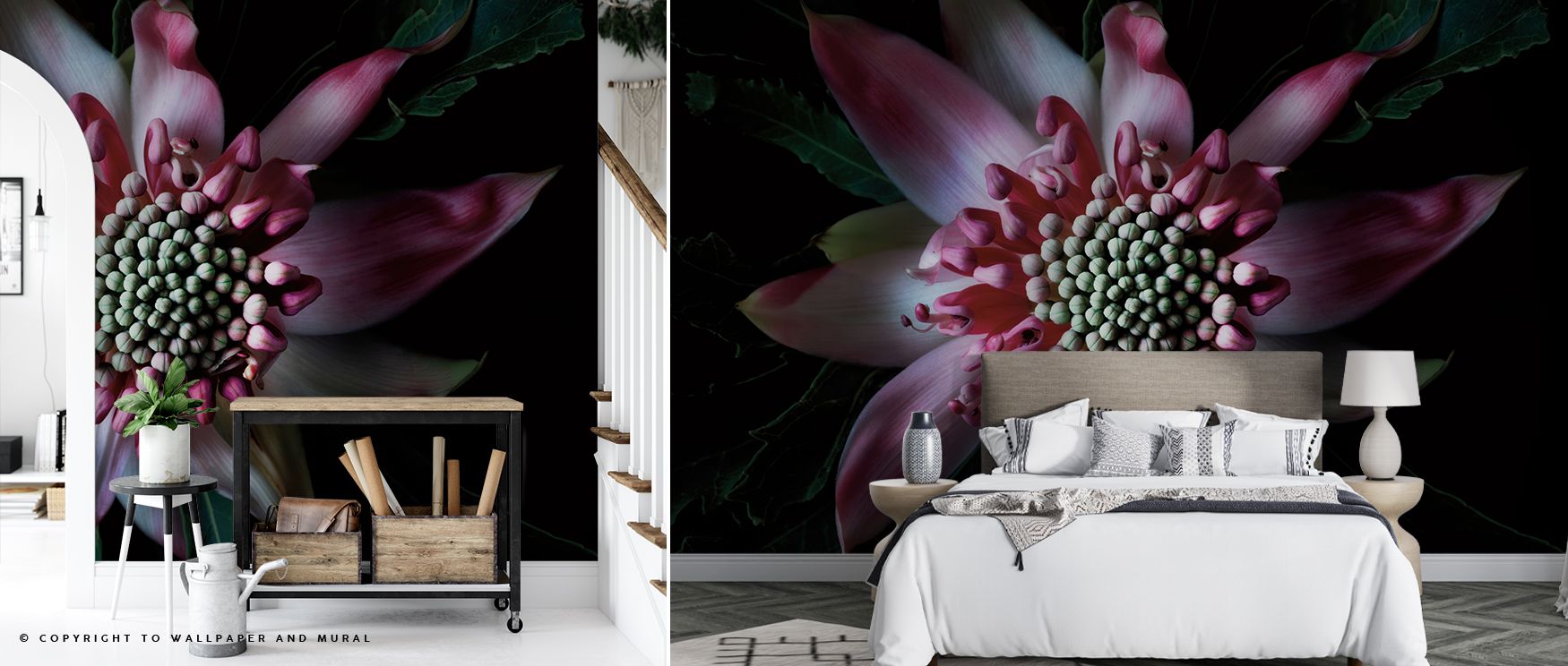 Salmon Waratah II Wallpaper conveys floral artistry through blossoms that ripple across muted surfaces. Its impression feels calm and graceful, making interiors thoughtful and refined. This presence enhances walls with beauty while sustaining subtle elega
