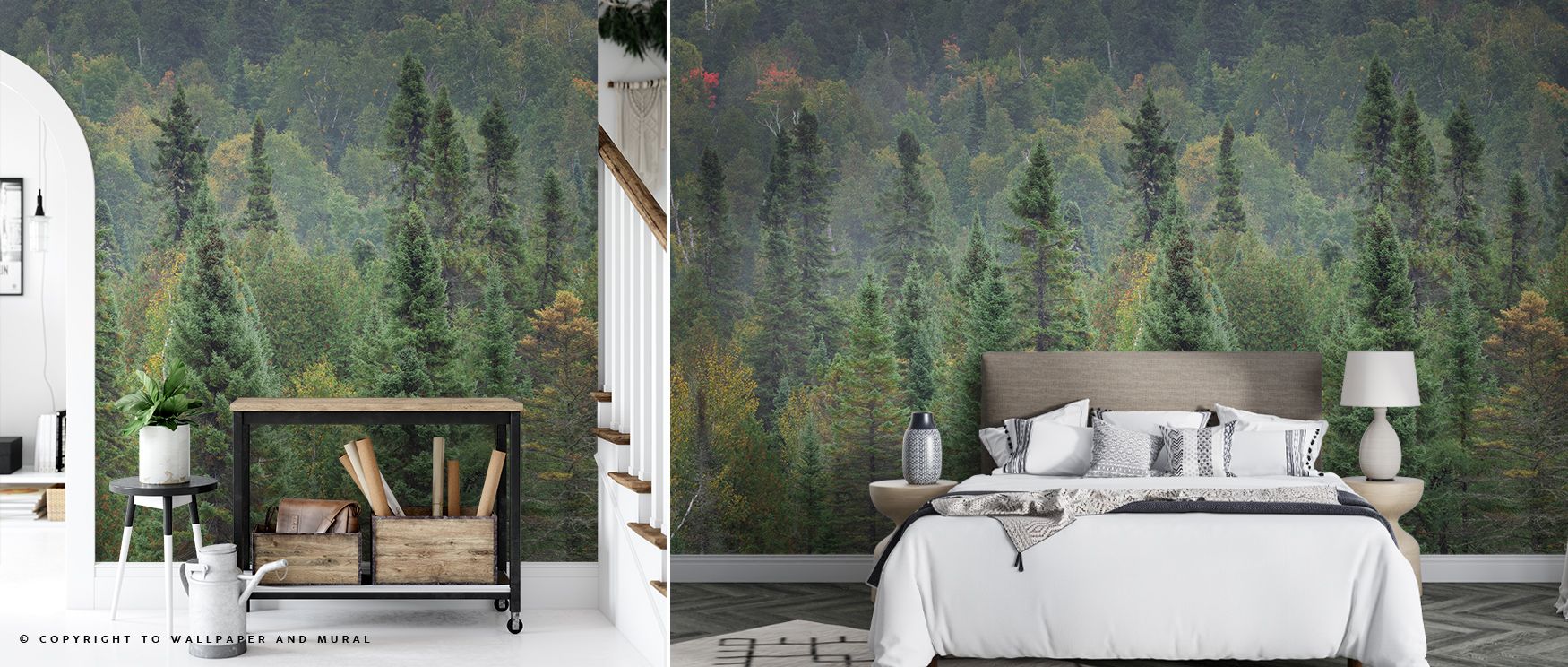 Superior Forest Wallpaper conveys calm imagery of trees layered with rhythm, producing atmosphere that enriches bedrooms, offices, or living rooms with cultural refinement and decorative resonance inspired by natural artistry. 