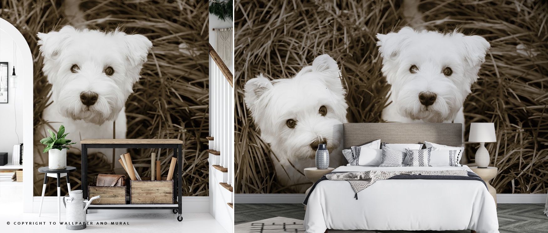 Such Cuties Wallpaper embodies imagination where charming animals glow luminous across tonal imagery. Its design enriches bedrooms or lounges with joy. Surfaces glow with artistry, shaping poetic retreats enriched by resonance where playful charm thrives 