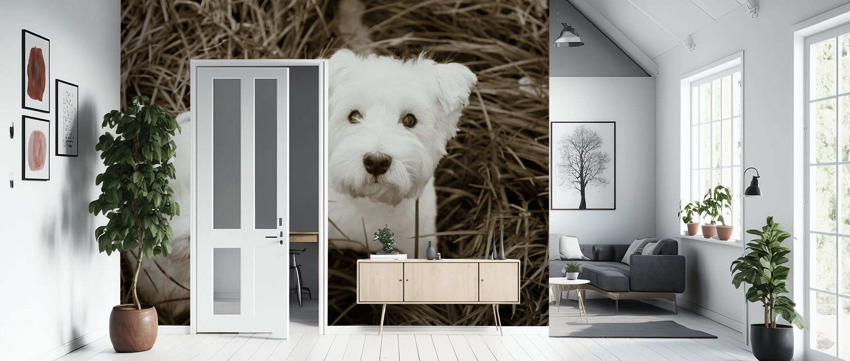 Across Such Cuties Wallpaper, playful forms glow luminous across tonal imagery. Interiors glow with refinement, enriching lounges with joy. Walls glow with artistry, shaping poetic retreats enriched by resonance where whimsical balance thrives naturally a