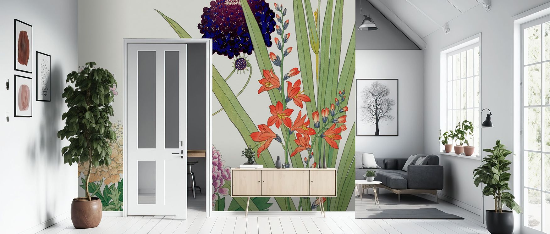 Tanigami Scabiosa Wallpaper reflects grace where blossoms radiate softly across tonal imagery. Its design enriches bedrooms or living rooms with poise. Walls glow with artistry, shaping retreats enriched by resonance where floral beauty thrives naturally 
