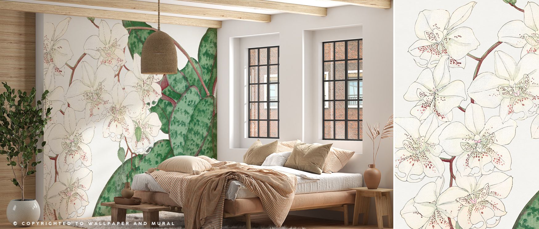 Tanigami Moth Orchid Elegant Floral Wall Art illustrates graceful botanical refinement where orchids bloom in delicate composition. Its soft tones reflect natural beauty, evoking timeless charm with elegance. This artwork enriches bedrooms, living rooms, 